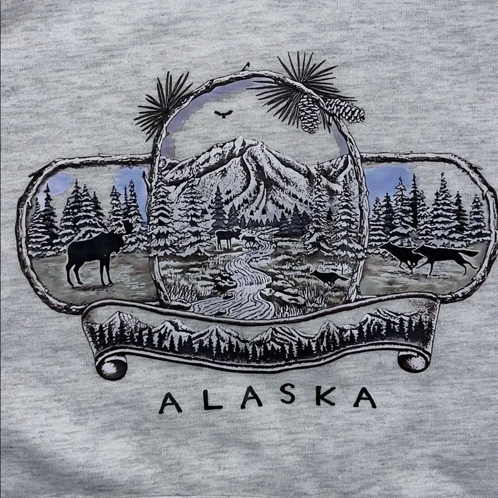 New Alaska Thick Hooded Hoodie Gray fleece sweatshirt without tag NWOT L Men’s - Picture 2 of 3